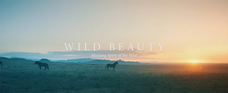 Director Behind Disney’s Black Beauty and Nation’s Top Horse Protection Lobbyist Announce Partnership to Produce Film