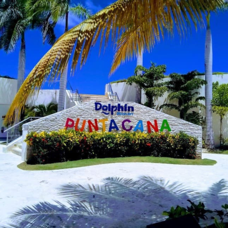 Live Experiences and Activities in Punta Cana! Live Experiences and Activities in Punta Cana!