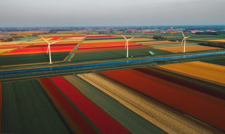 Unveiling the Charms of the Netherlands: A Perfect Vacation Destination