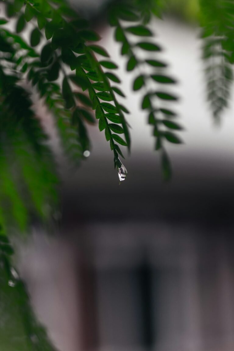 “Essential Tips for Staying Safe and Dry During Rainy Season”