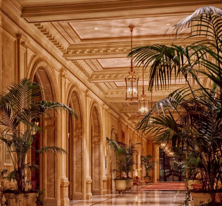 Top 5 Luxury Hotels in India
