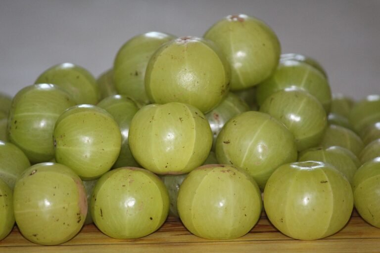 The Benefits of Eating Indian Gooseberry Every Day