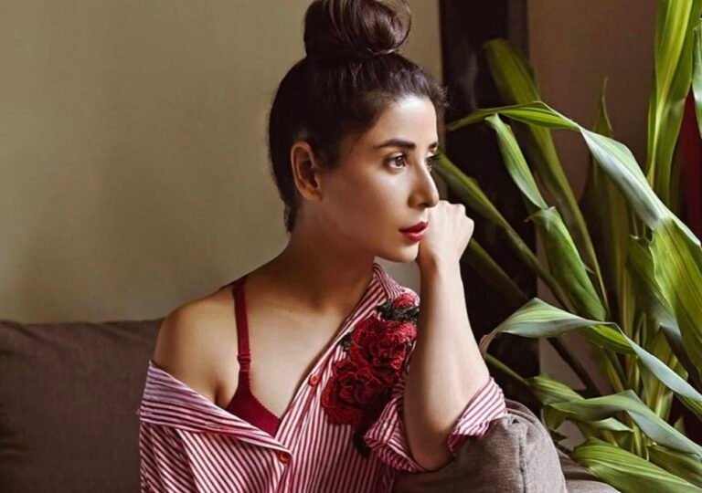 “Muskan Nancy James Accuses Hansika Motwani’s Family of Domestic Abuse and Fraud in Ongoing Legal Dispute”