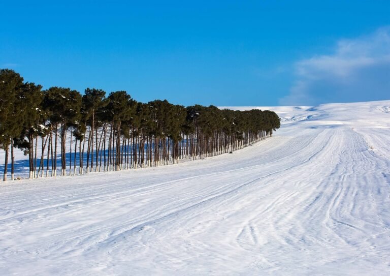 Best Must-Visit Places in Azerbaijan: A Journey Through Culture, History, and Nature