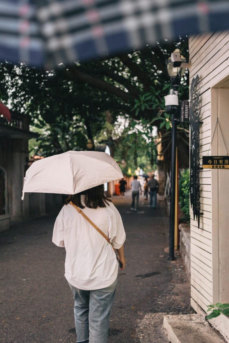 How to Take Care During the Monsoon: Essential Tips for a Healthy and Safe Rainy Season